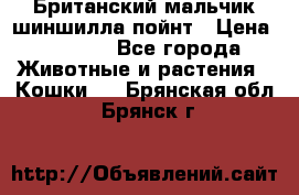Британский мальчик шиншилла-пойнт › Цена ­ 5 000 - Все города Животные и растения » Кошки   . Брянская обл.,Брянск г.